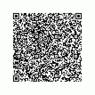 vCard 73815733120