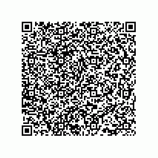 vCard 73815733125