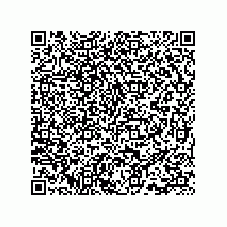 vCard 73815733129