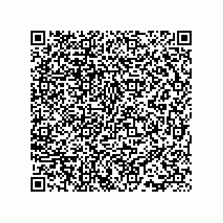 vCard 73815733131
