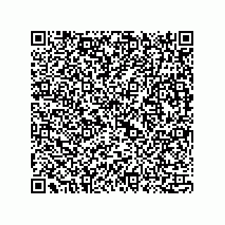 vCard 73815733132