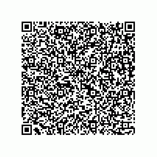 vCard 73815733134