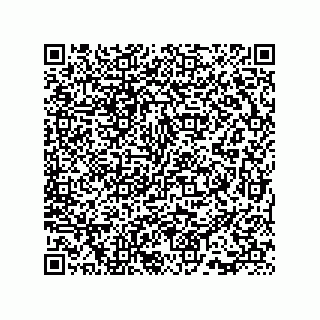 vCard 73815733135