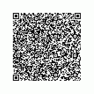 vCard 73815733137