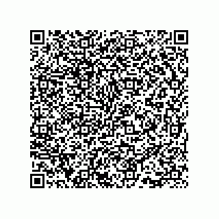 vCard 73815733138