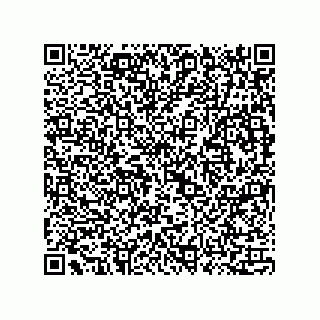 vCard 73815733139