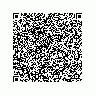 vCard 73815733140