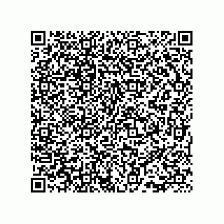 vCard 73815733151