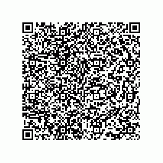 vCard 73815733163