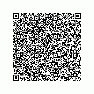 vCard 73815733167
