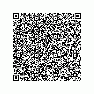 vCard 73815733181