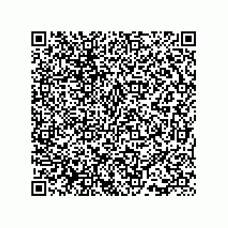 vCard 73815733187