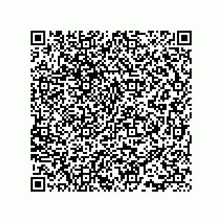 vCard 73815733190