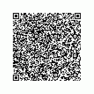 vCard 73815733193