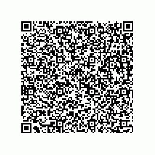 vCard 73815733196