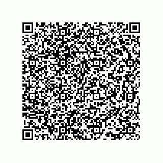 vCard 73815733197