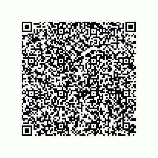 vCard 73815733199