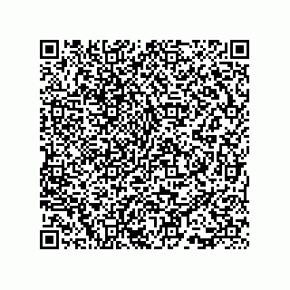 vCard 73815733200