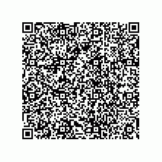 vCard 73815733202