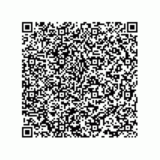 vCard 73815733203