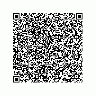 vCard 73815733204