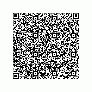 vCard 73815733205