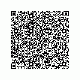 vCard 73815733207