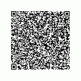 vCard 73815733209