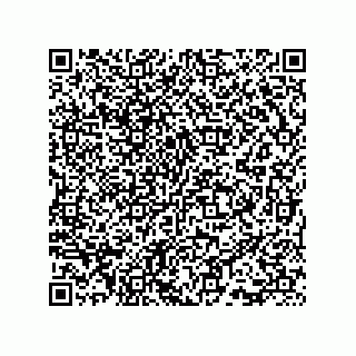 vCard 73815733210