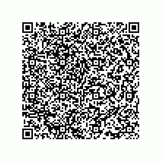 vCard 73815733213
