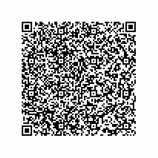 vCard 73815733217
