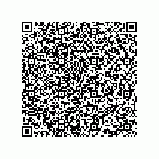 vCard 73815733220