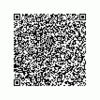 vCard 73815733221