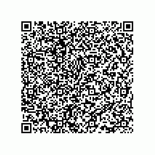 vCard 73815733228