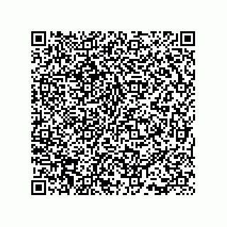 vCard 73815733231