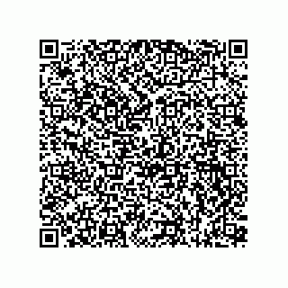 vCard 73815733249