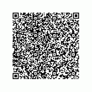 vCard 73815733250