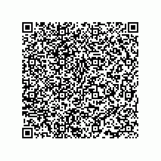 vCard 73815733251