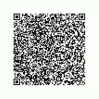 vCard 73815733253