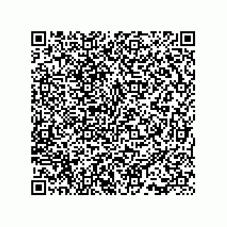 vCard 73815733262