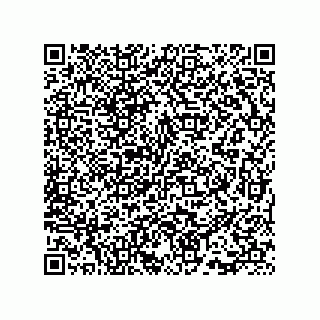 vCard 73815733265