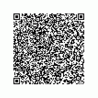 vCard 73815733267