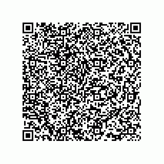 vCard 73815733273