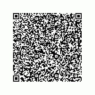 vCard 73815733274