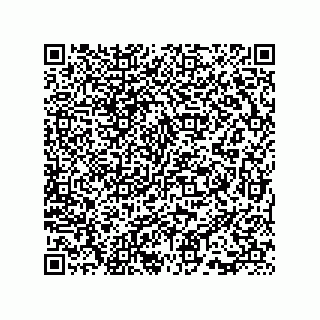 vCard 73815733275