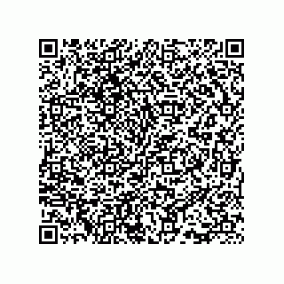 vCard 73815733280