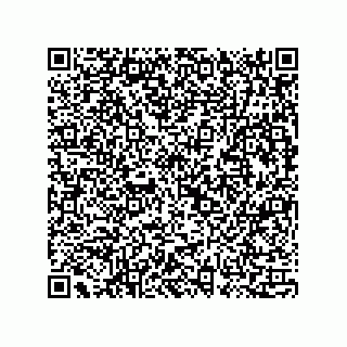 vCard 73815733281
