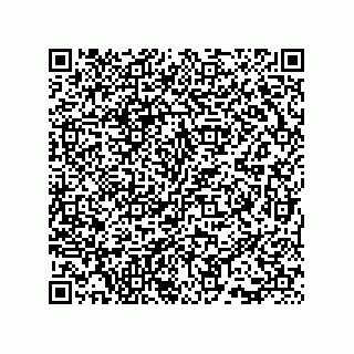 vCard 73815733285