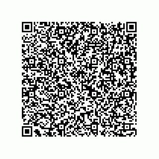 vCard 73815733288