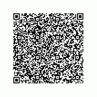 vCard 73815733292